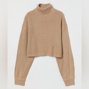 H&M Beige Cropped Turtleneck Sweater (Size S)